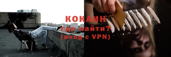 ПСИЛОЦИБИНОВЫЕ ГРИБЫ Богданович