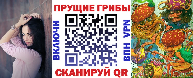 Купить где  Духовщина  Галлюциногенные грибы Psilocybine cubensis 